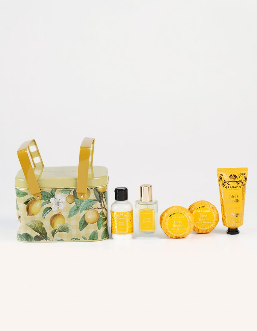 Kit Cesta Picnic Citrus Brasilis