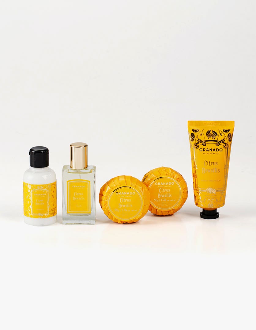 Kit Cesta Picnic Citrus Brasilis