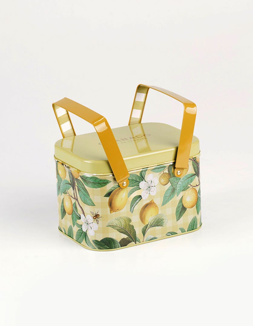 Kit Cesta Picnic Citrus Brasilis