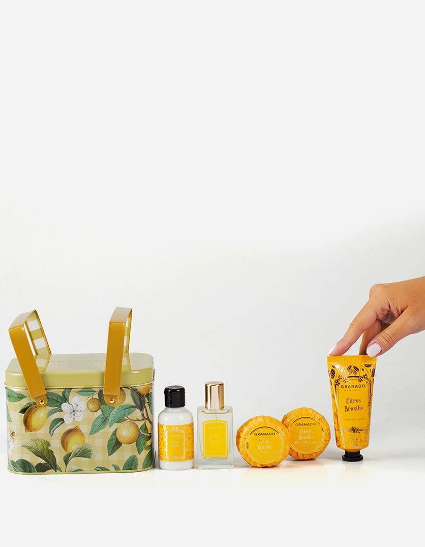 Kit Cesta Picnic Citrus Brasilis